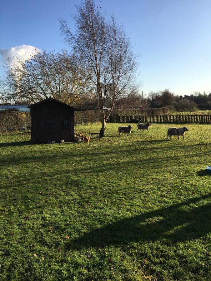 The Barn Bed And Breakfast Hale  Exteriör bild